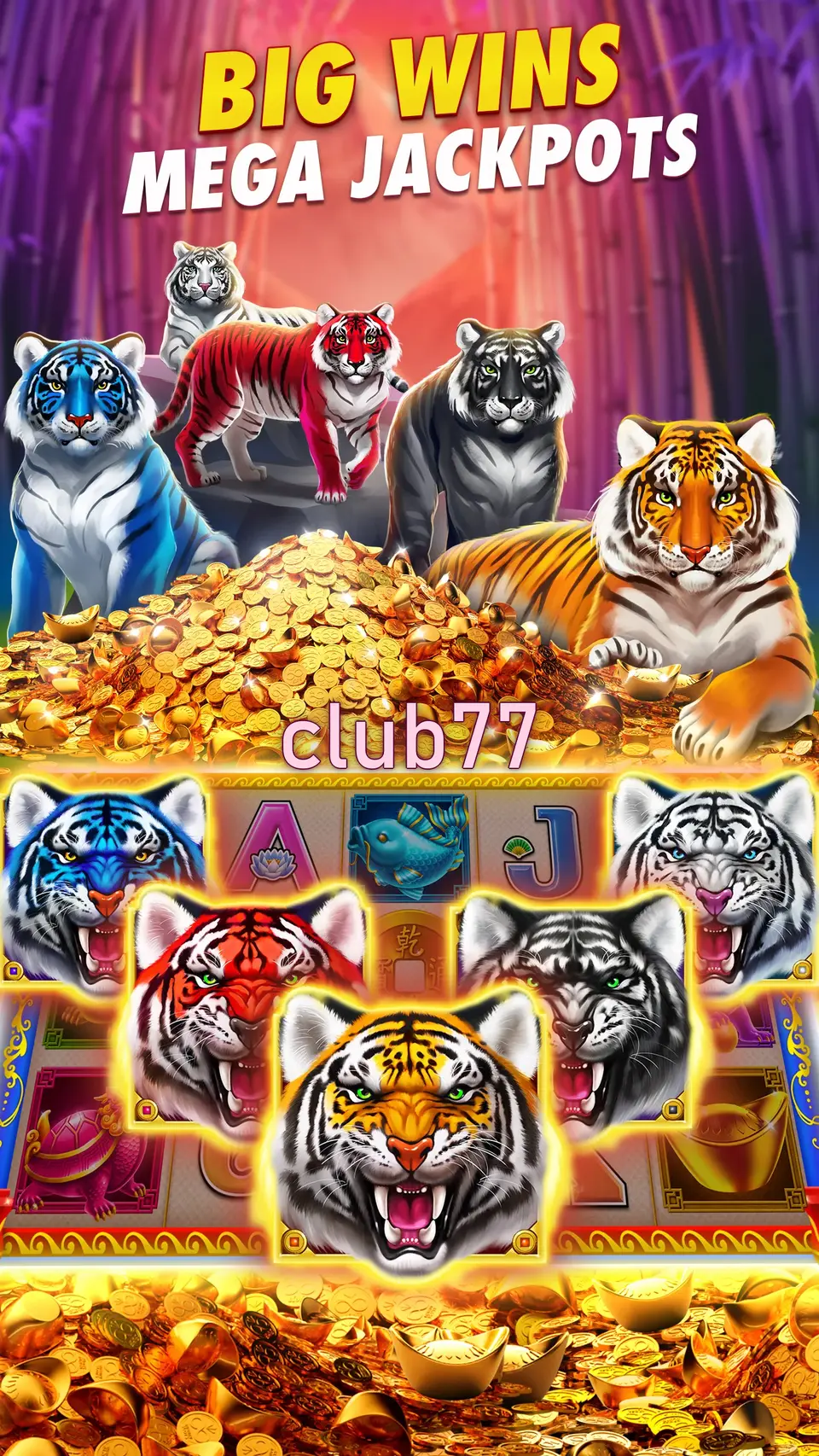 club77 Preview - Oficial Baixar